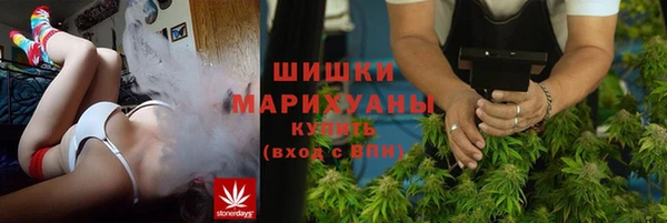 дурь Богородицк