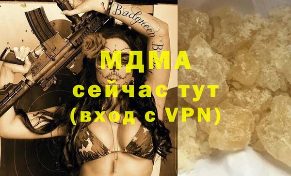 дмт Богданович