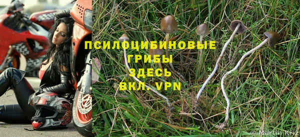 дмт Богданович