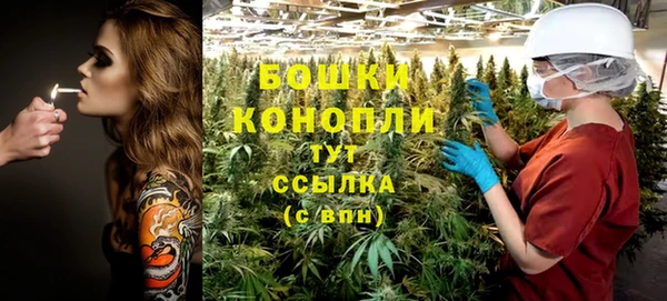 дурь Богородицк