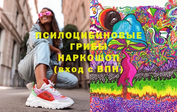дмт Богданович