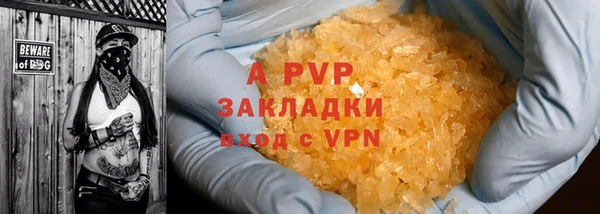 дмт Богданович