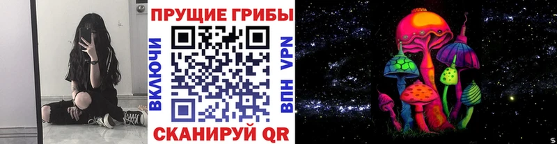 Галлюциногенные грибы Cubensis даркнет какой сайт Вяземский